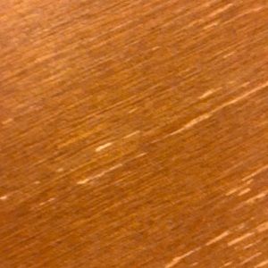 Meet your Posher, Rayvin